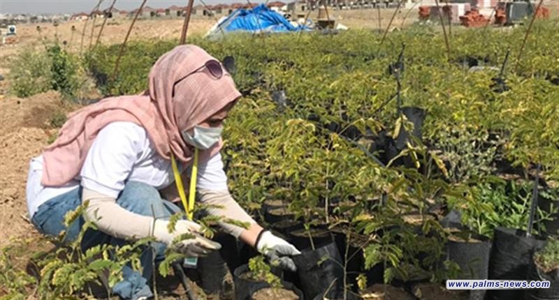 تعاون أممي مع العراق لتمكين المرأة العراقية من الزراعة الذكية